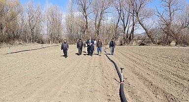 Niğde'de ürünleri zirai dondan zarar gören lahana üreticisi: 