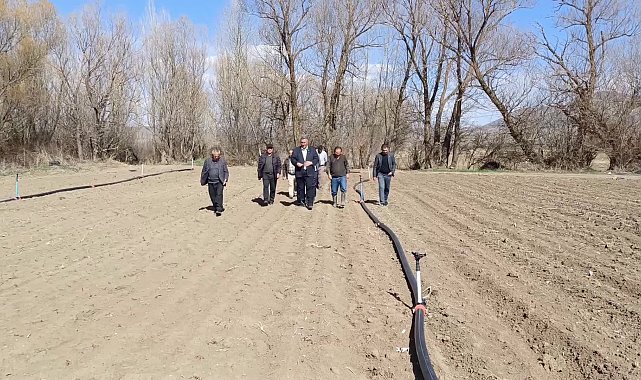 Niğde'de ürünleri zirai dondan zarar gören lahana üreticisi: