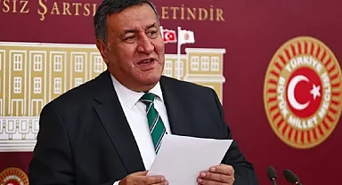 Ömer Fethi Gürer: 