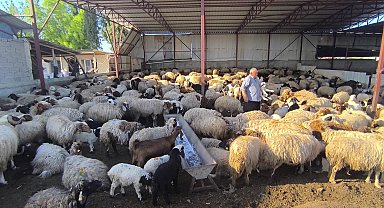 Osmaniyeli besici: 