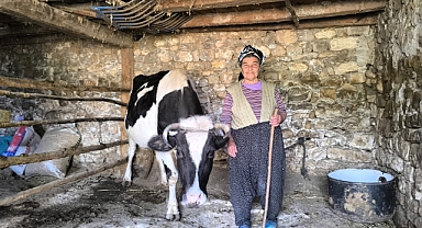 Osmaniyeli süt üreticisi: 