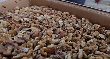 Şanlıurfa'da denetim yapan zabıta ekipleri, baklava imalathanesinde 11 ton küflenmiş ceviz ele geçirdi 