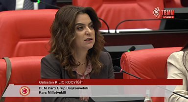 TBMM Genel Kurulu... Ali Mahir Başarır: 