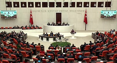 TBMM Genel Kurulu Özel Oturumu... Sevda Karaca Demir: 
