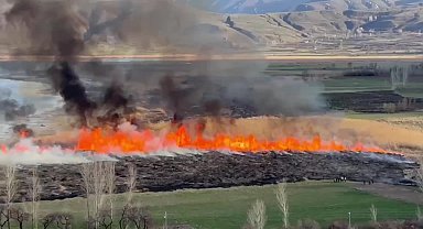 Van'ın kuş cennetinde yangın