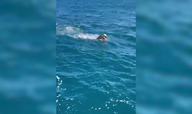 Yeni Zelanda Cook Boğazı’nı geçti: “Okyanusların Fatihi” hedefine adım adım yaklaşıyor