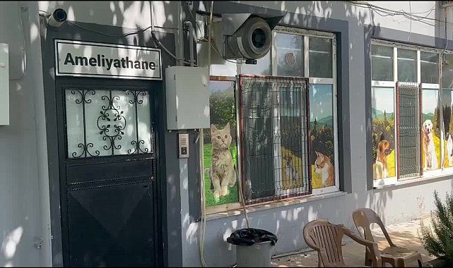 Adıyaman Belediyesi tarafından 13 ayda bine yakın sokak hayvanı koruma altına alındı