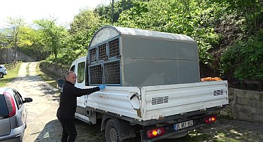 Altınordu Belediyesi’nden sokaktaki can dostlar için kısırlaştırma seferberliği