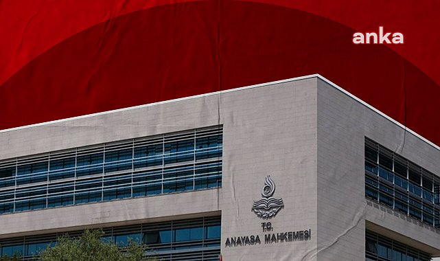 Anayasa Mahkemesi, sokak hayvanları yasasını 7 Mayıs Çarşamba günü esastan görüşecek