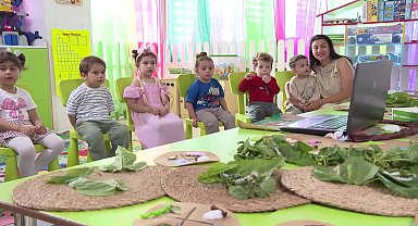 Antalya Büyükşehir Belediyesi, çocuklara ipek böceğinin serüvenini anlatıyor