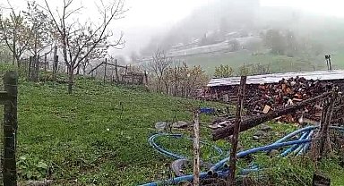 Artvin’in Ardanuç ilçesine bağlı Geçitli köyüne yağan kar, üreticiyi tedirgin etti