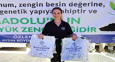 Aydın Büyükşehir Belediyesi Bozdoğan'da 25 bin fide dağıttı