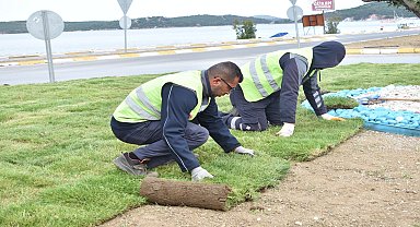 Balıkesir Büyükşehir Belediyesi, ürettiği çimleri kullanıyor