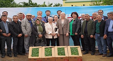Bilecik Belediyesi, çiftçilere üç yılda 1 milyon 700 bin fide dağıttı