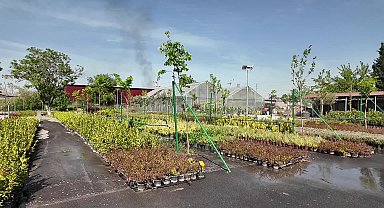Bornova Belediyesi, Pınarbaşı fidanlığını yeniledi
