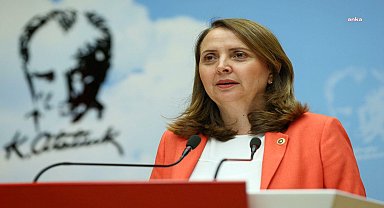 CHP'li Dinçer: ''AKP iktidarında ekonomik krizin derinleşmesi, yurttaşları çocuk sahibi olmaktan çekinmeye itmektedir''