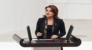 CHP'li Gülcan Kış: