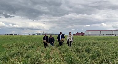 CHP’li Gürer: “Donla ilgili tablo zaman geçtikçe daha belirgin hale geliyor ve arpanın farklı bölgelerinde verim ve rekolte kaybına yol açıyor