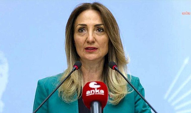 CHP'li Nazlıaka'dan infaz düzenlemesi tepkisi: