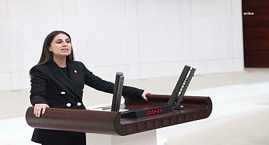 CHP'li Özcan, Akköprü HES’in özelleştirilmesini TBMM gündemine taşıdı