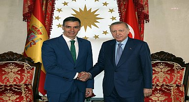Cumhurbaşkanı Erdoğan'ın İspanya Başbakanı Sanchez ile yaptığı görüşmede Türkiye ile İspanya ikili ilişkileri ele alındı