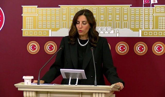 DEVA Partili Rızvanoğlu'ndan iktidara yangın uçağı tepkisi: Halkın vergileriyle alınmış bir kapasite bilinçli olarak devre dışı bırakılıyor