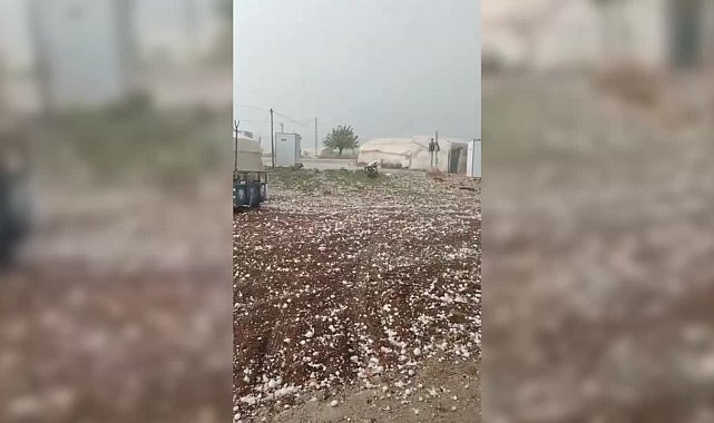 Dolu yağışı tarım alanlarını vurdu