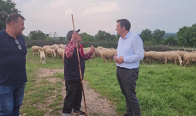 Edirneli besici: “Bir koyunla bir ton yem alamıyorsun”