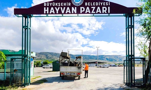 Eskişehir'de hayvan pazarı için yer satışları başlıyor