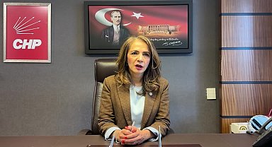 Gamze Akkuş İlgezdi: 