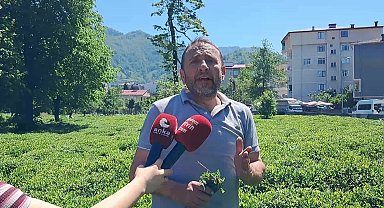 Geçici işçi alımlarında