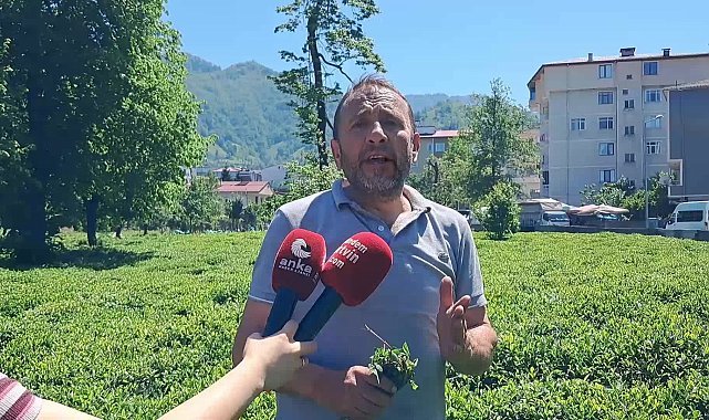 Geçici işçi alımlarında