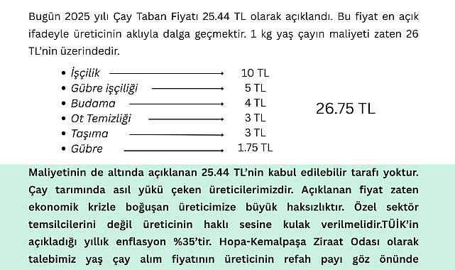Hopa-Kemalpaşa Ziraat Odası Başkanı Muti’den çay fiyatına tepki: Üreticinin aklıyla dalga geçiliyor