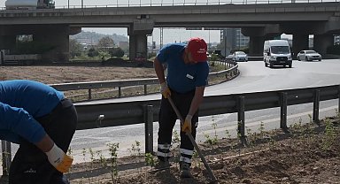 İzmir Büyükşehir Belediyesi’nden karayolu kavşaklarında ağaçlandırma seferberliği
