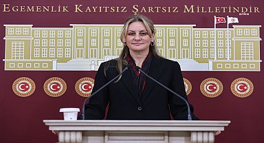 İzmir Milletvekili Seda Kaya Ösen: