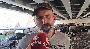 Kemalpaşalı besici: “Hayvancılık dede mesleğimizdi, ancak artık sürdüremez hale geldik