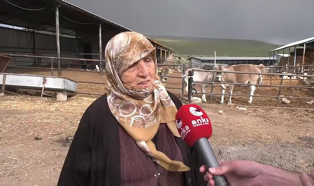 Konya’da 74 yaşında çiftçilik yapan Emine Küçükoğlu: Yem borcunu emekli maaşıyla kapatıyorum