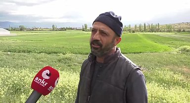 Konyalı çiftçi girdi üretim maliyetlerine isyan etti: