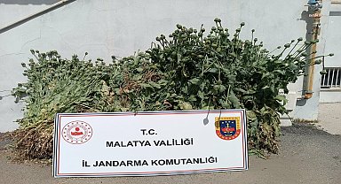 Malatya’da uyuşturucu operasyonunda 12 kişiye işlem yapıldı, aranan 18 şüpheli yakalandı