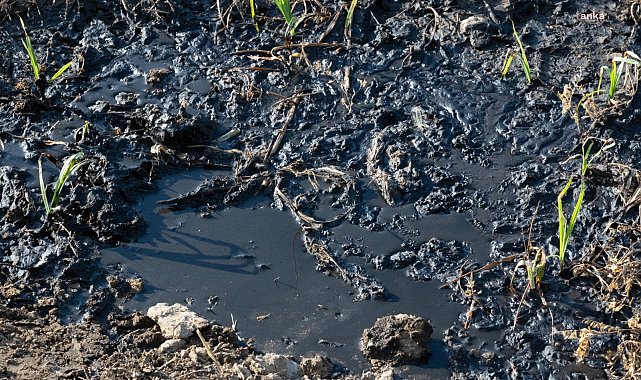 Manisa Büyükşehir Belediyesi, Gediz Nehri'ni kirletenlere cezai işlem başlattı