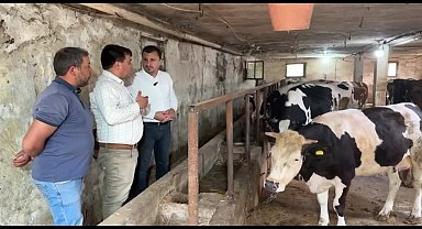 Manisalı besici CHP'li Başevirgen'e dert yandı: