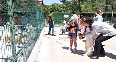 Marmaris Belediyesi Geçici Hayvan Bakımevi, minik ziyaretçileri ağırladı