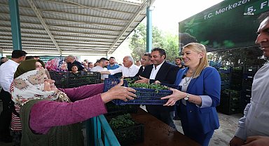 Merkezefendi Belediyesi'nden üreticilere fide desteği