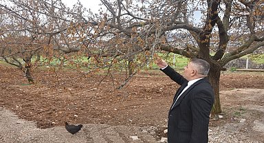 MTSO Başkanı Sadıkoğlu'ndan 'zirai don' uyarısı: “İşsizlik artacak, esnaf iflas edecek”