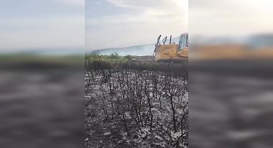 Orman Genel Müdürlüğü: İzmir Foça'da kırsal alanda başlayan orman yangını kontrol altına alındı