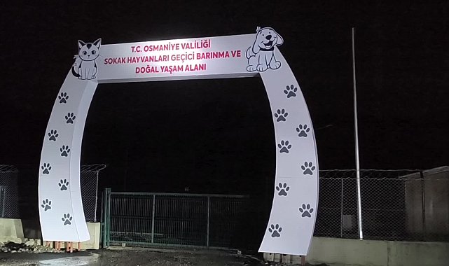 Osmaniye'de yapımı devam eden 'geçici köpek barınağı' sular içerisinde kaldı
