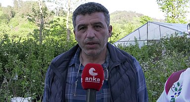 Rize Fındıklı Ziraat Odası Başkanı Mehmet Özsoy: “2025 yılı yaş çay fiyatı 35 lira olmalıdır”