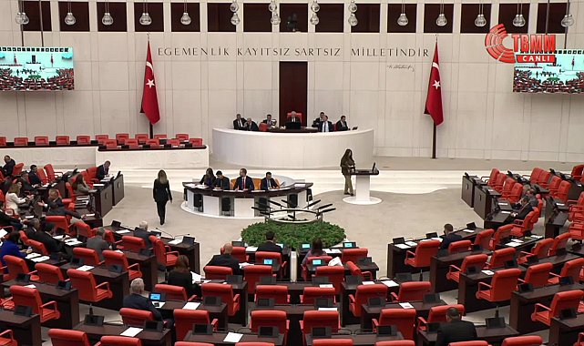 TBMM'de engellilerin karşılaştıkları sorunlara kalıcı çözümler üretilmesi amacıyla Araştırma Komisyonu kurulmasına karar verildi