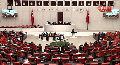 TBMM Genel Kurulu... Aysu Bankoğlu: