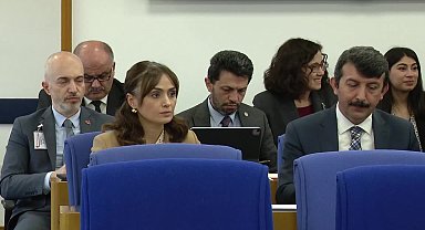 TBMM Plan ve Bütçe Komisyonu... Veli Ağbaba: